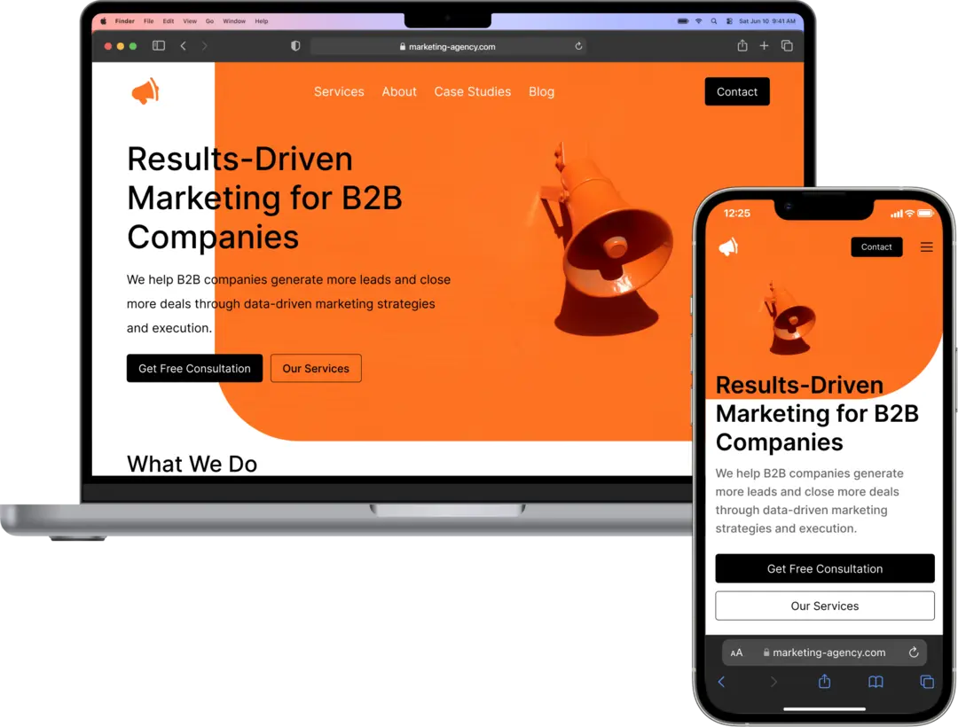 Website project showcase